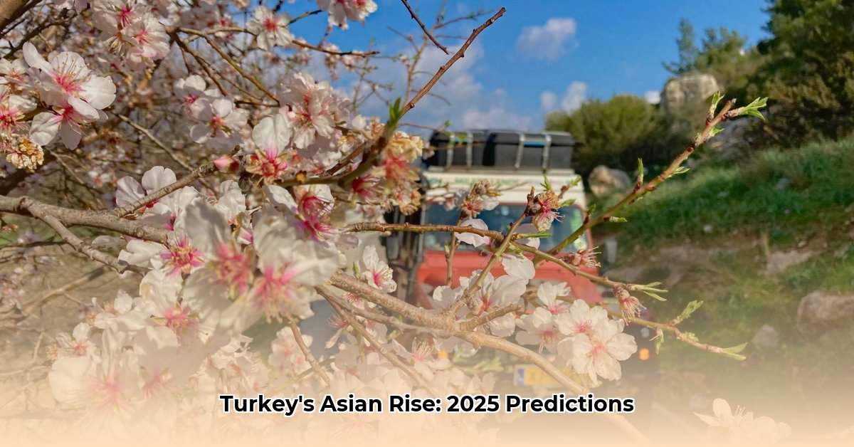 aziatische-deel-turkije